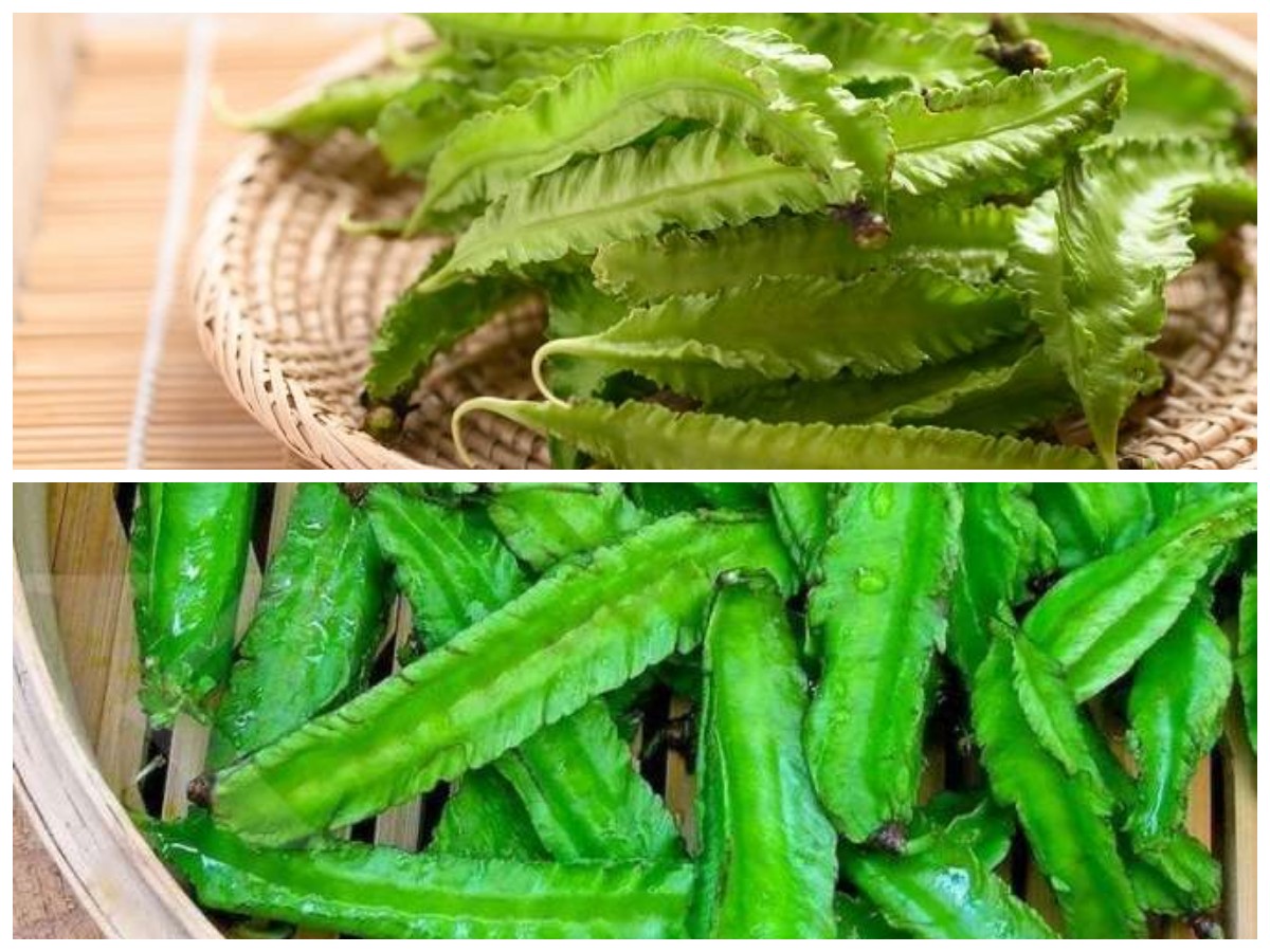 Bukan Sayur Biasa! Intip 9 Manfaat Kecipir untuk Kesehatan Anda