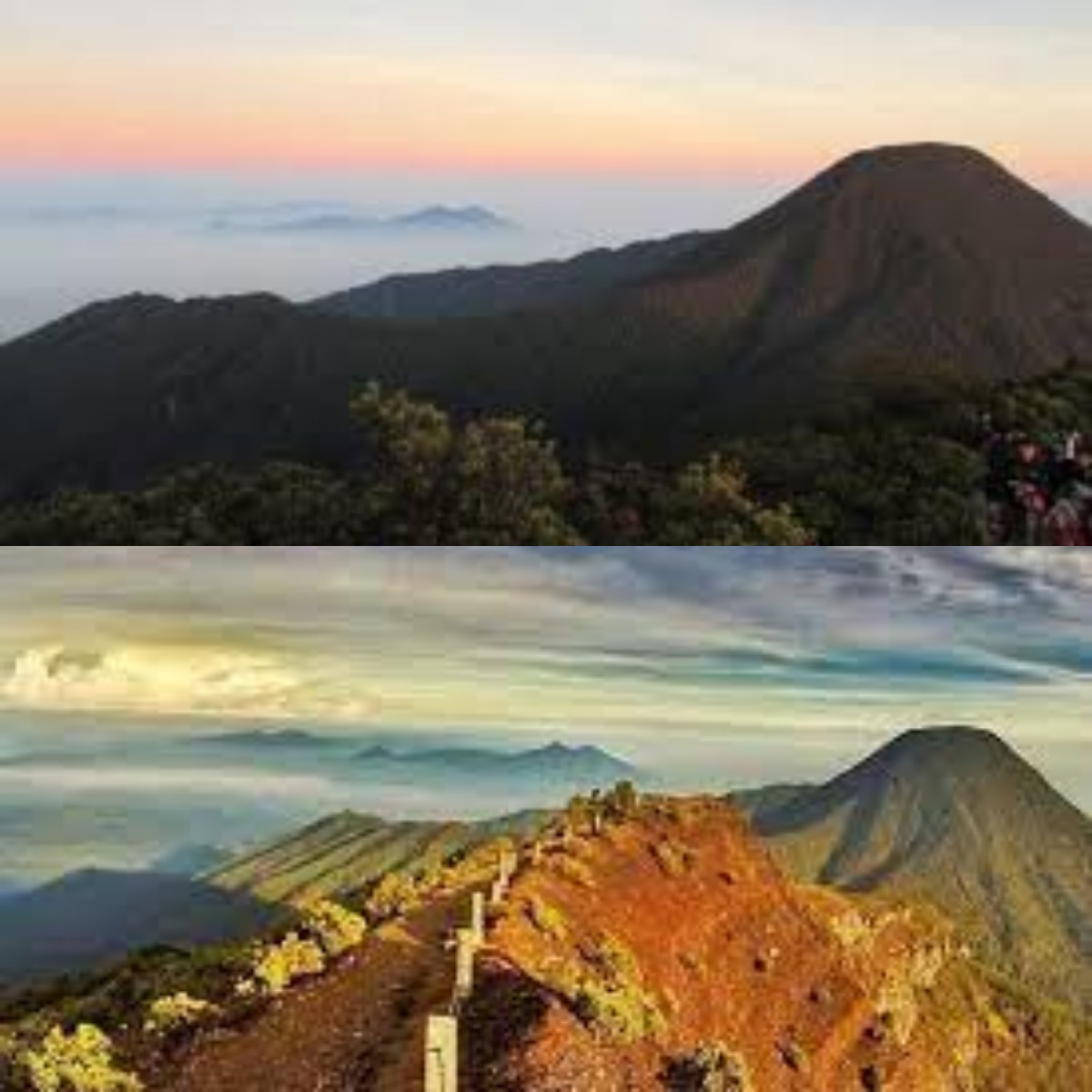 Yakin Gak Mau Liburan Kesini! Nih Pesona Indah yang Ada di Gunung Gede Pangrango