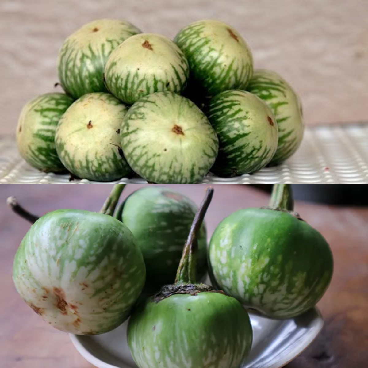 7 Khasiat Terong Bulat bagi Kesehatan Otak dan Tubuh!