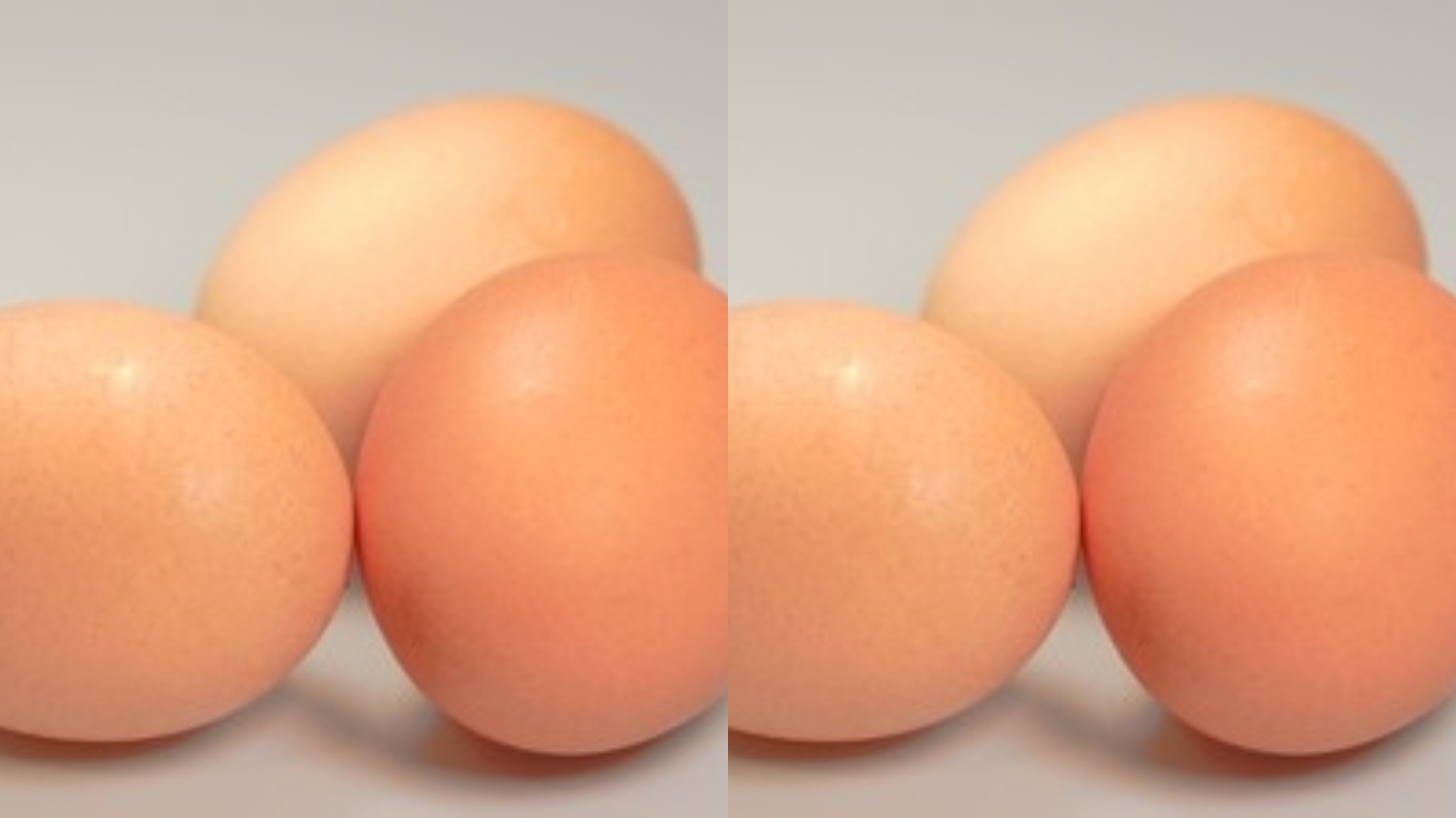 Mendukung Kesehatan Otak Teryata Ini Guys Manfaat Dari Telur Yang Jarang Diketahui! 