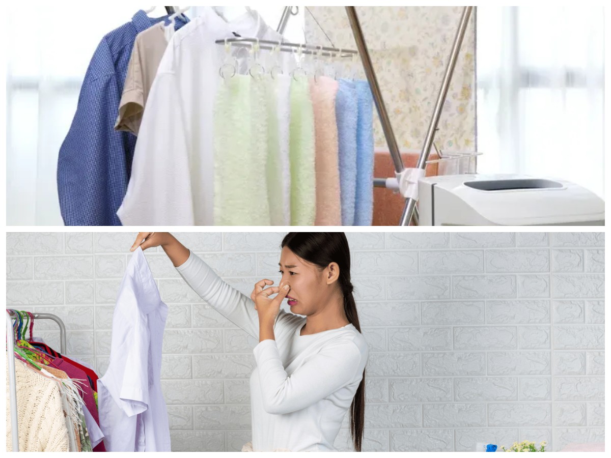 Tak Perlu Sinar Matahari! Cara Ampuh Mengeringkan Baju Agar Tetap Kering dan Tidak Apek