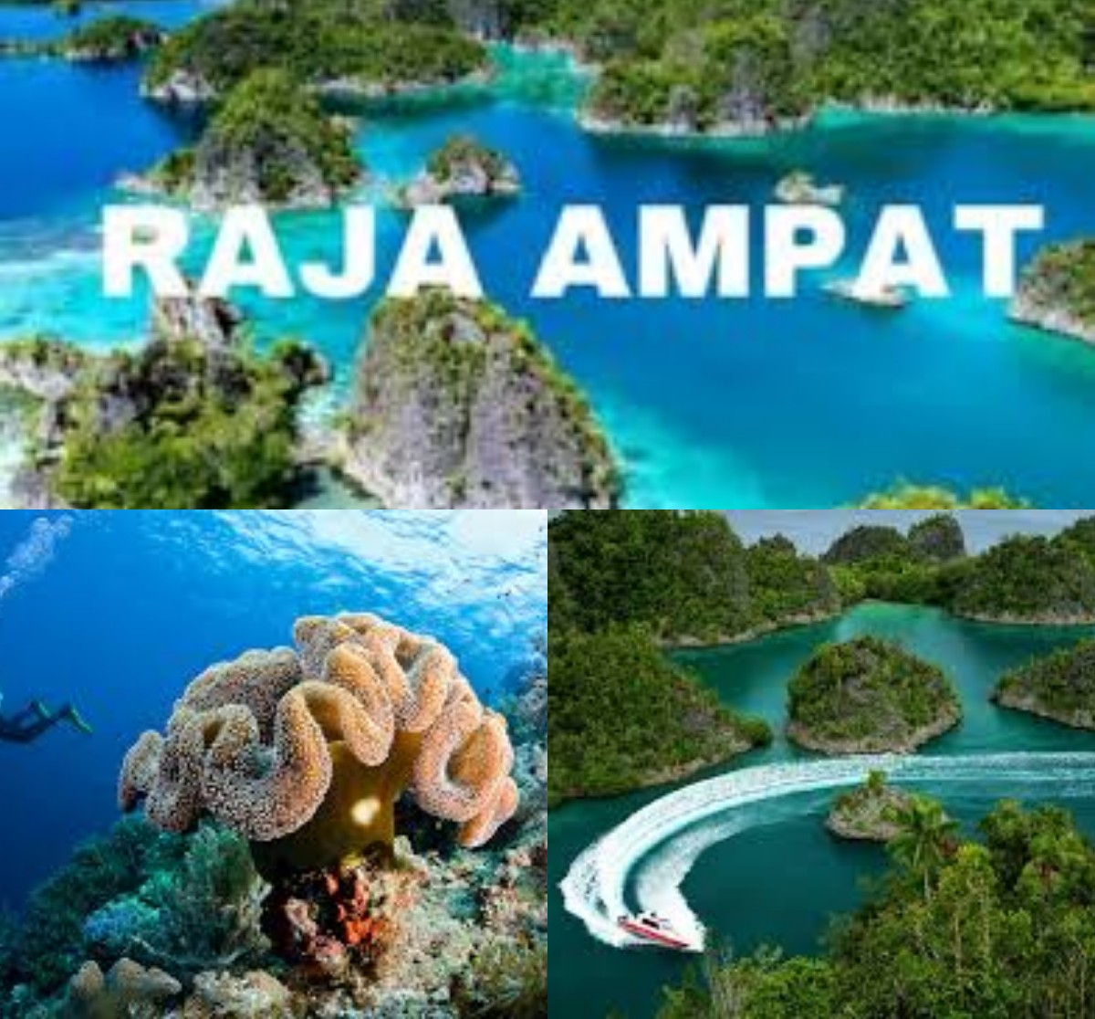 Menjelajahi Keajaiban Alam Raja Ampat, Surga Tersembunyi di Papua