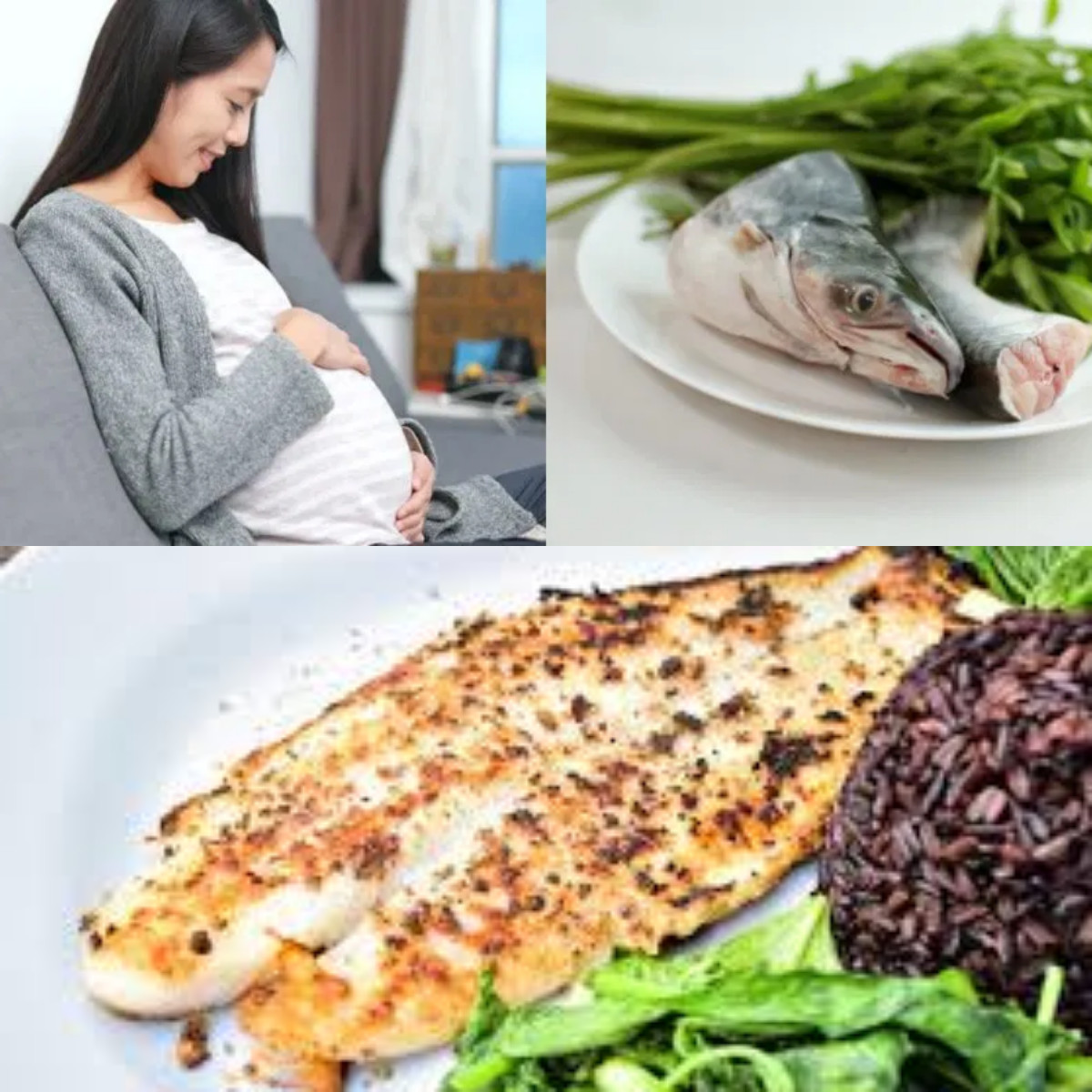 Manfaat dan Aturan Konsumsi Ikan Patin bagi Ibu Hamil Yang Harus Diketahui!