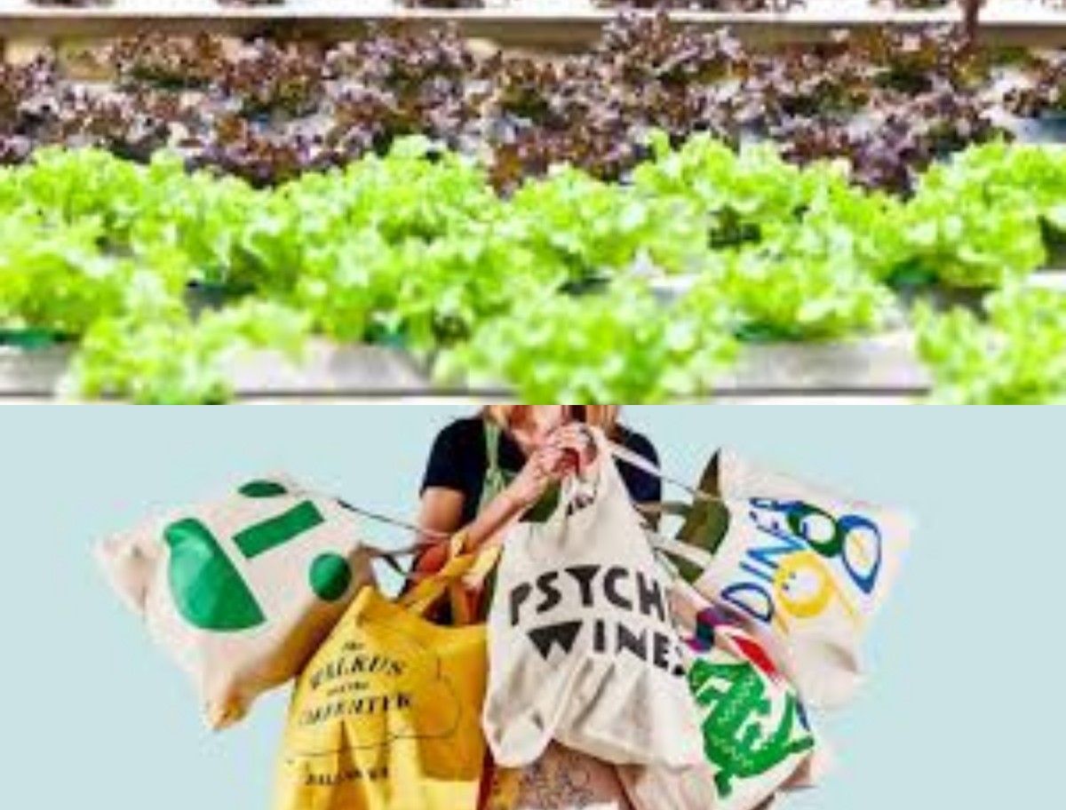 Generasi Milenial dan Gaya Hidup Ramah Lingkungan: Dari Tote Bag hingga Urban Farming