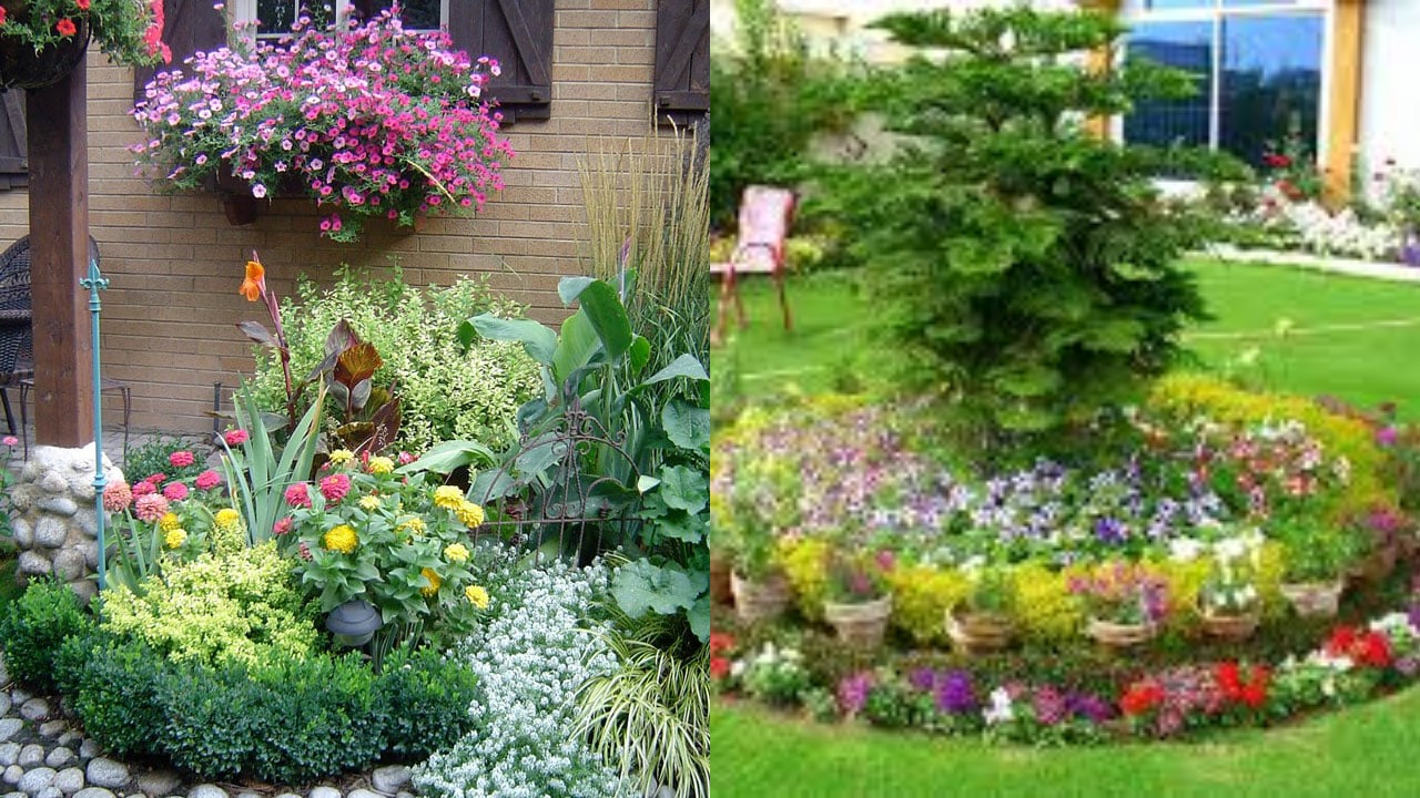 Tanaman Hias Pekarangan Rumah yang Bikin Tampilan Makin Estetik!