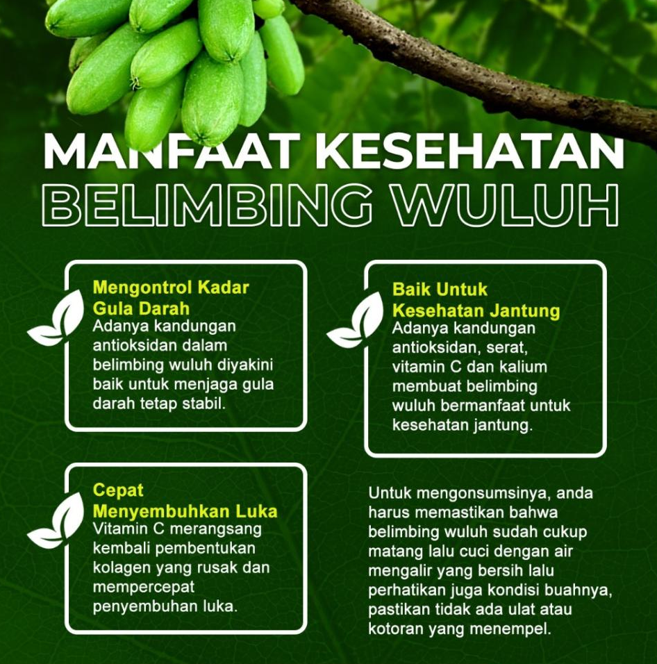 Belimbing Wuluh: Kecil Tapi Punya Manfaat Besar, Benarkah?