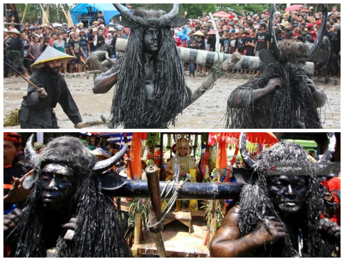 Sejarah dan Makna Upacara Adat Kebo-keboan di Banyuwangi: Tradisi Mistis Tolak Bala yang Masih Lestari