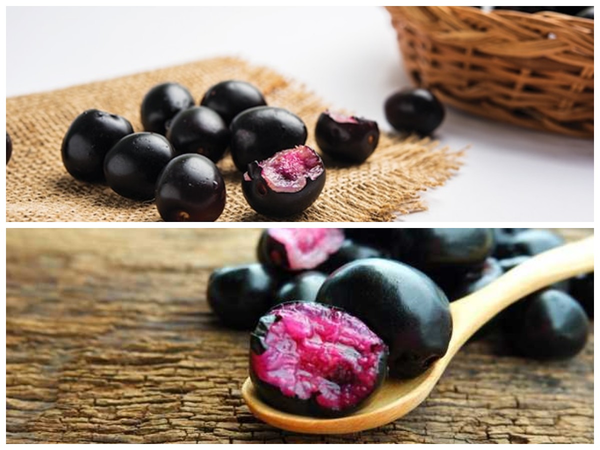 Rahasia Sehat dari Alam: Inilah 7 Manfaat Buah Jamblang yang Bikin Tubuh Makin Bugar!