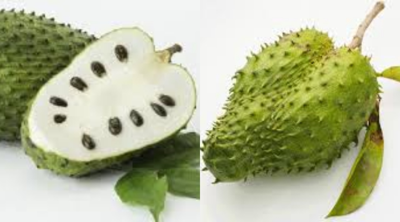 Kamu Harus Tahu Inilah Manfaat Buah Sirsak Untuk Wanita Yang Menyehatkan!