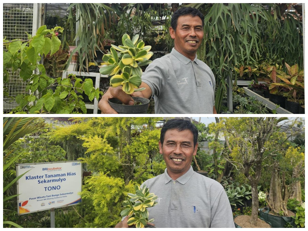 Dukung Ekonomi Warga, Klaster Usaha Tanaman Hias Binaan BRI Tumbuh Makin Subur
