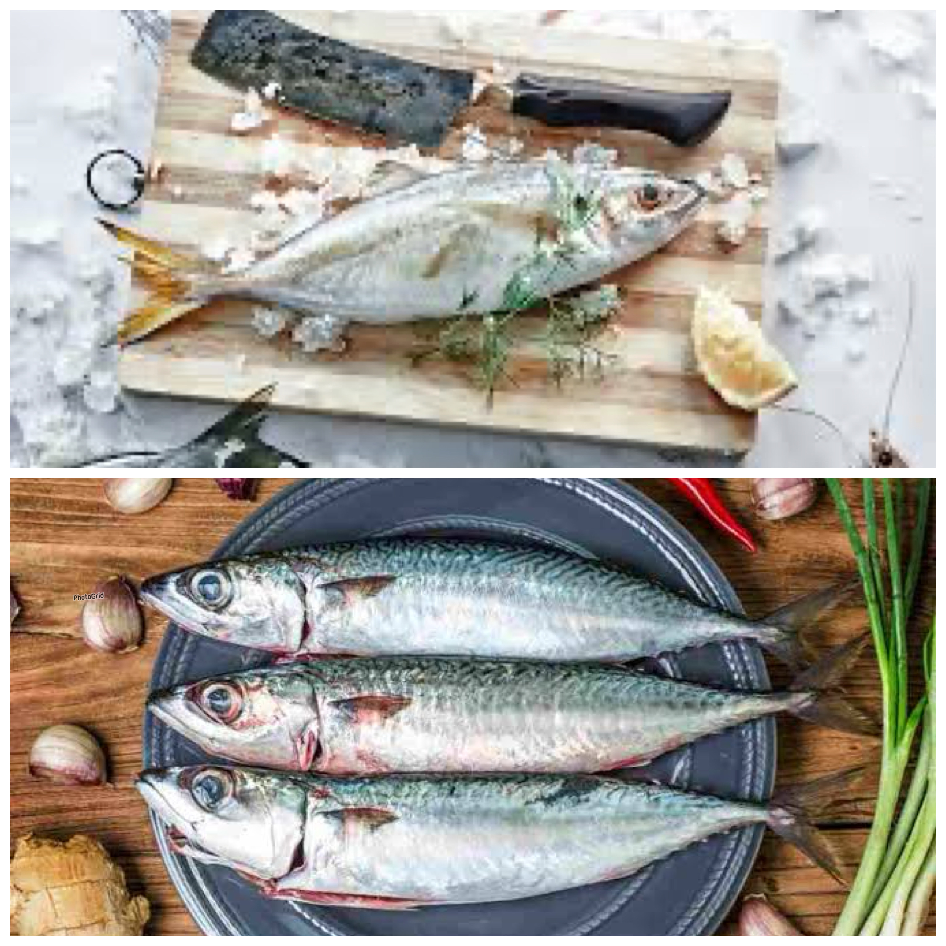 7 Manfaat Ikan Tenggiri bagi Kesehatan Tubuh: Sumber Gizi Laut yang Kaya Nutrisi!