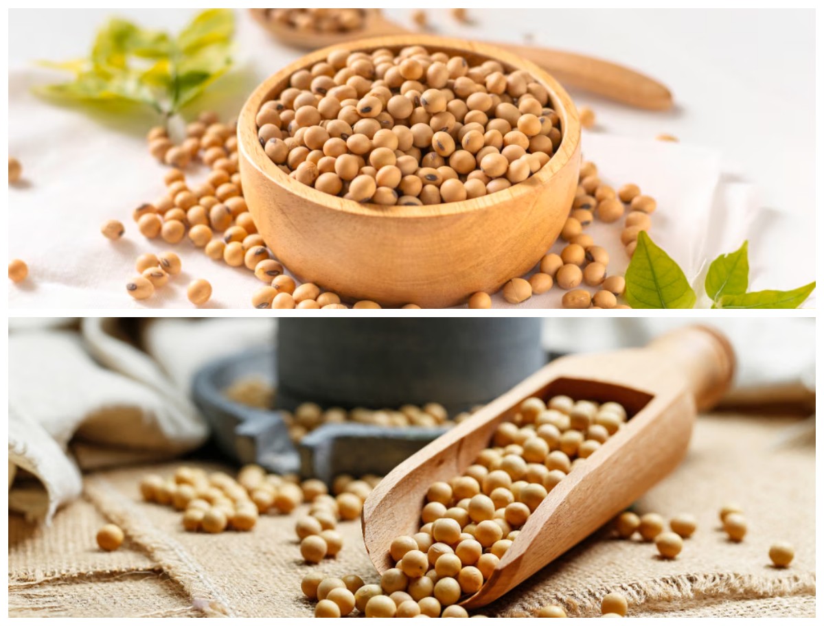 Manfaat Kacang Kedelai untuk Kesehatan Tubuh: Sumber Protein Nabati yang Kaya Nutrisi dan Baik untuk Jantung! 