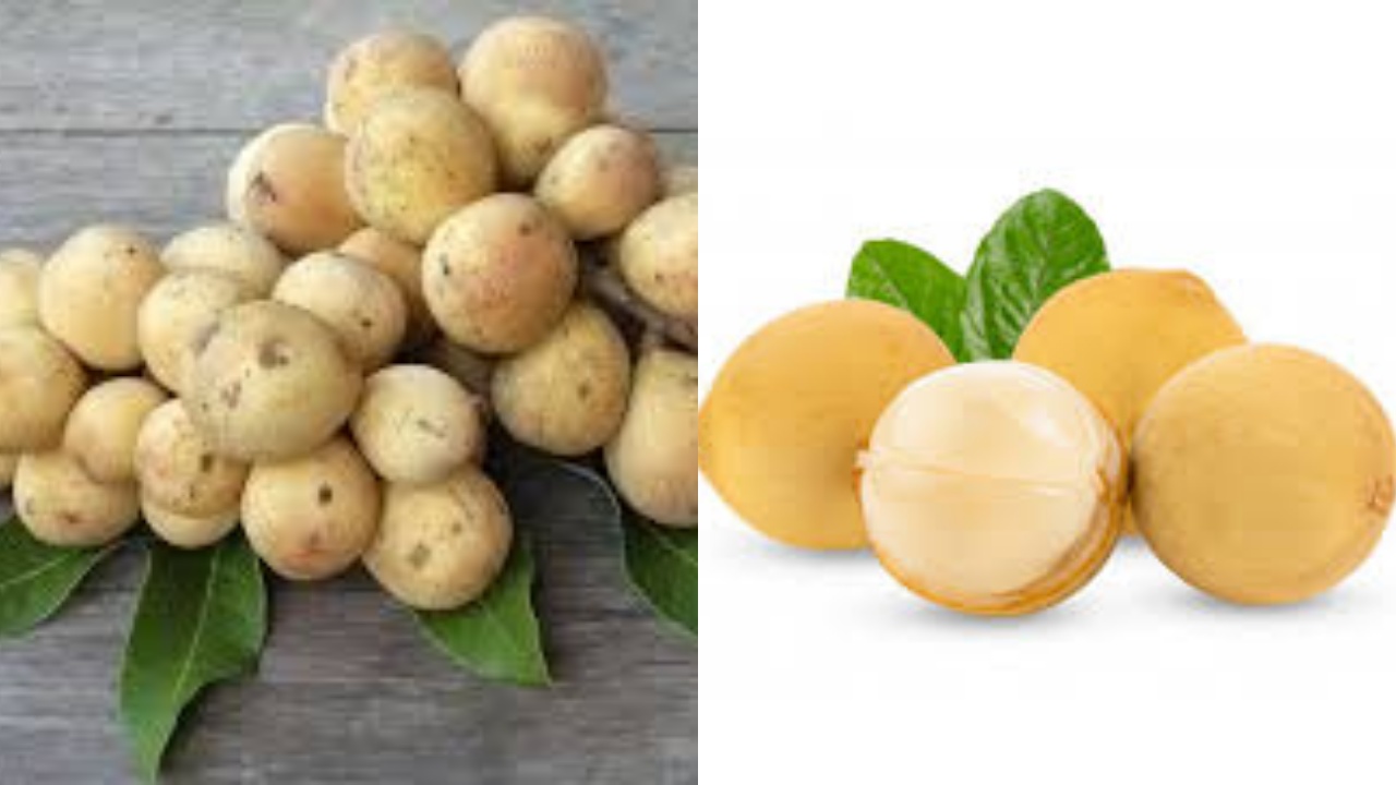 Wow! Inilah Beragam Manfaat Buah Duku Untuk Kesehatan Yang Luar Biasa