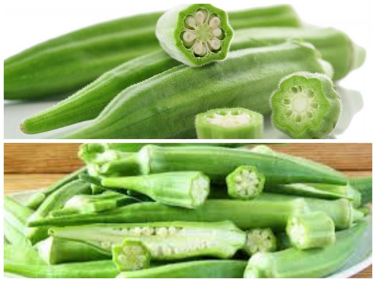 Berikut Ini Manfaat Okra Hijau Untuk Kesehatan Tubuh Yang Jarang Diketahui!