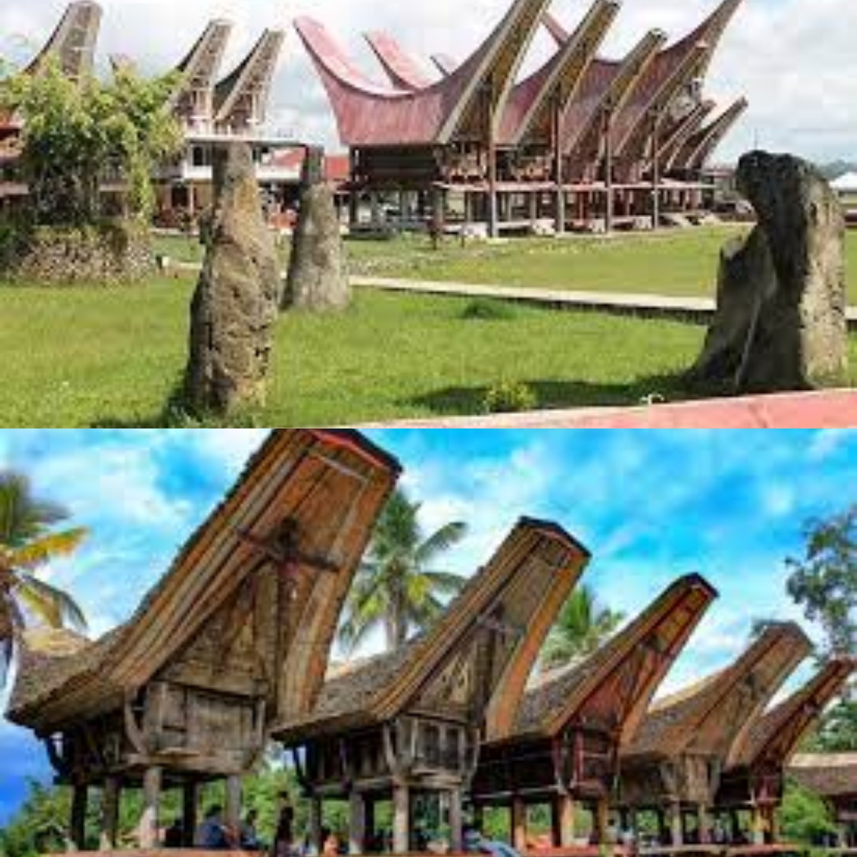Dibalik Keindahan Tana Toraja! Ternyata Ada Keunikan Rumah Adat Tongkonan dari Toraja yang Harus Kamu tau! 