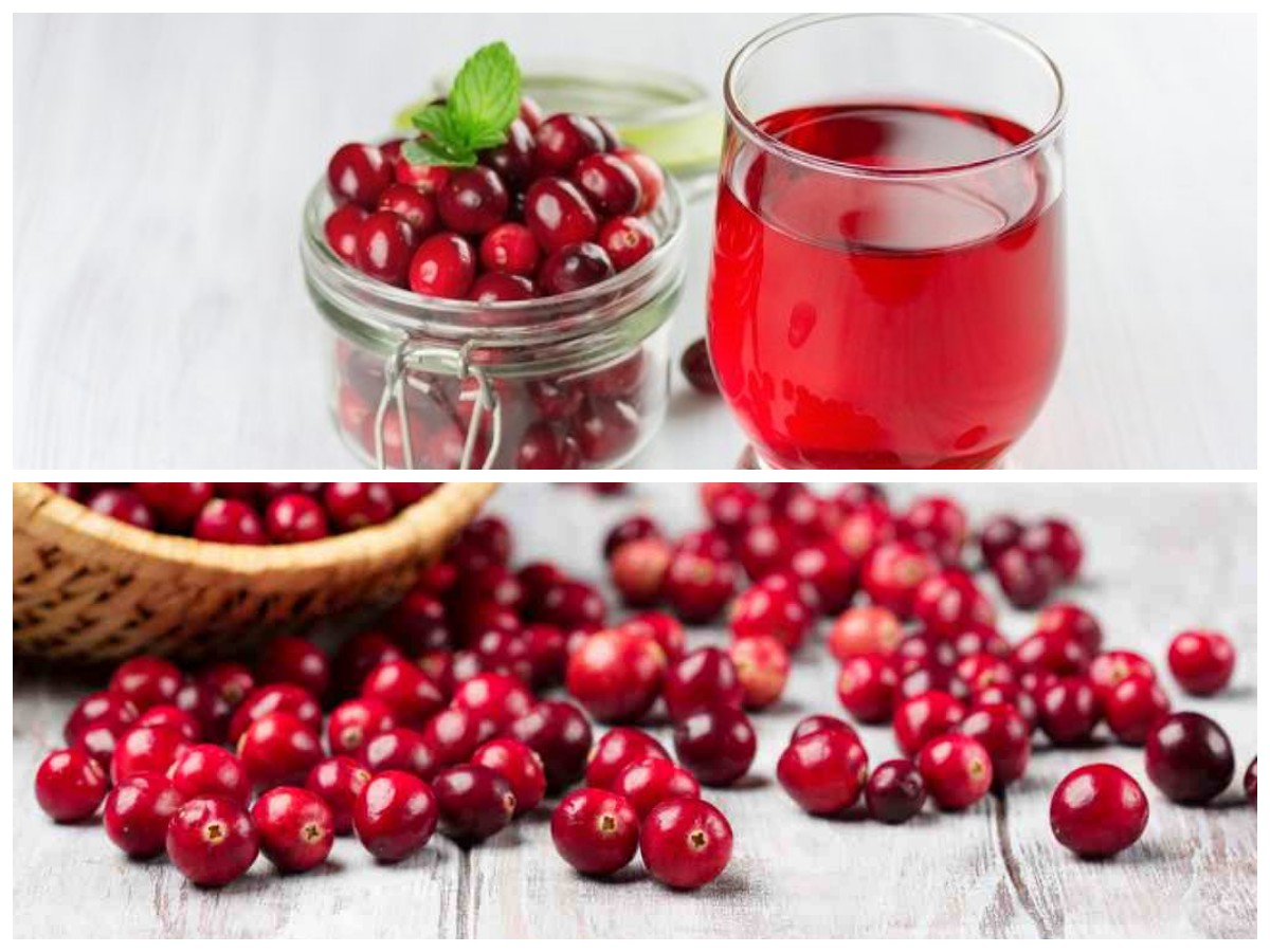 Manfaat Cranberry bagi Kesehatan: Buah Kecil dengan Khasiat Besar untuk Tubuh!
