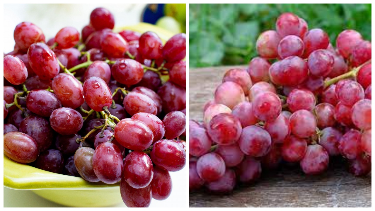 Wajib Tahu: 7 Manfaat Buah Anggur untuk Kesehatan Anak