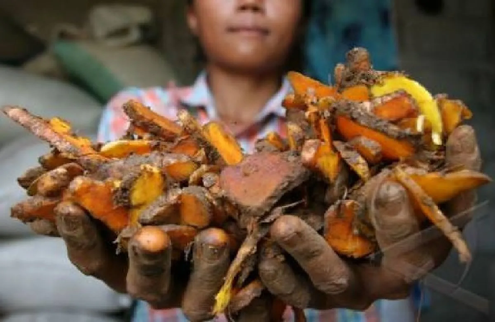 Tumbuhkan Kesehatan dengan Obat Tradisional Suku Sakai: Sudahkah Anda Mencobanya?