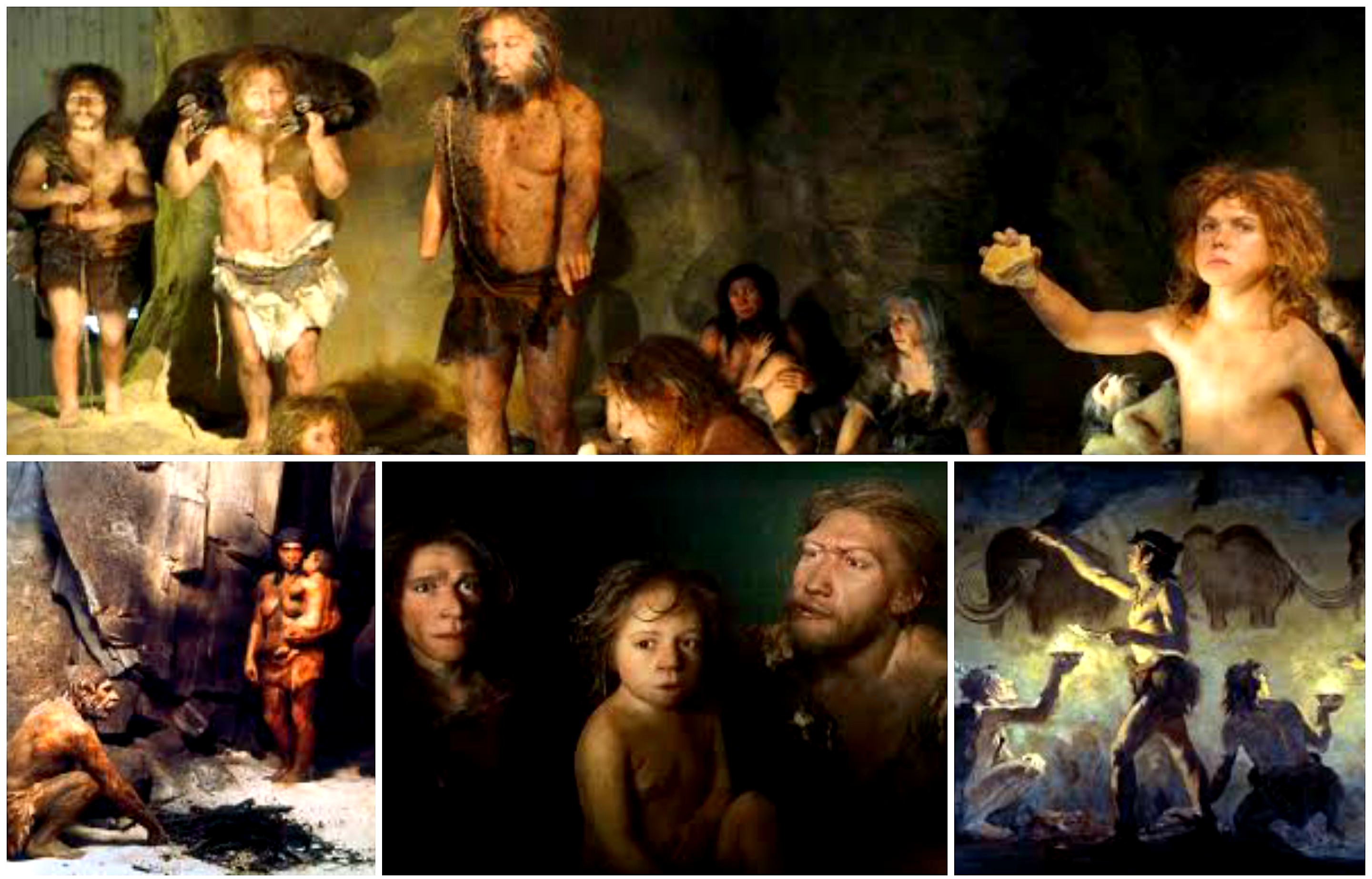 Cikal Bakal Manusia Modern. Benarkah Pertama Kali Muncul di Afrika?