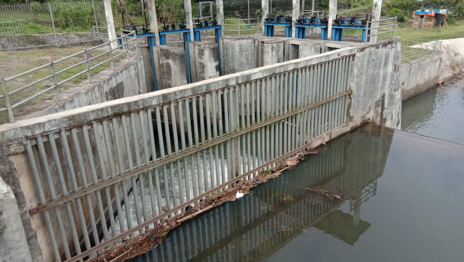 Perlu Perawatan, Bendungan di Desa Muara Payang Mengalami Pendangkalan