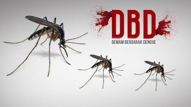 Tingkatkan Kewaspadaan Terhadap Penyakit DBD