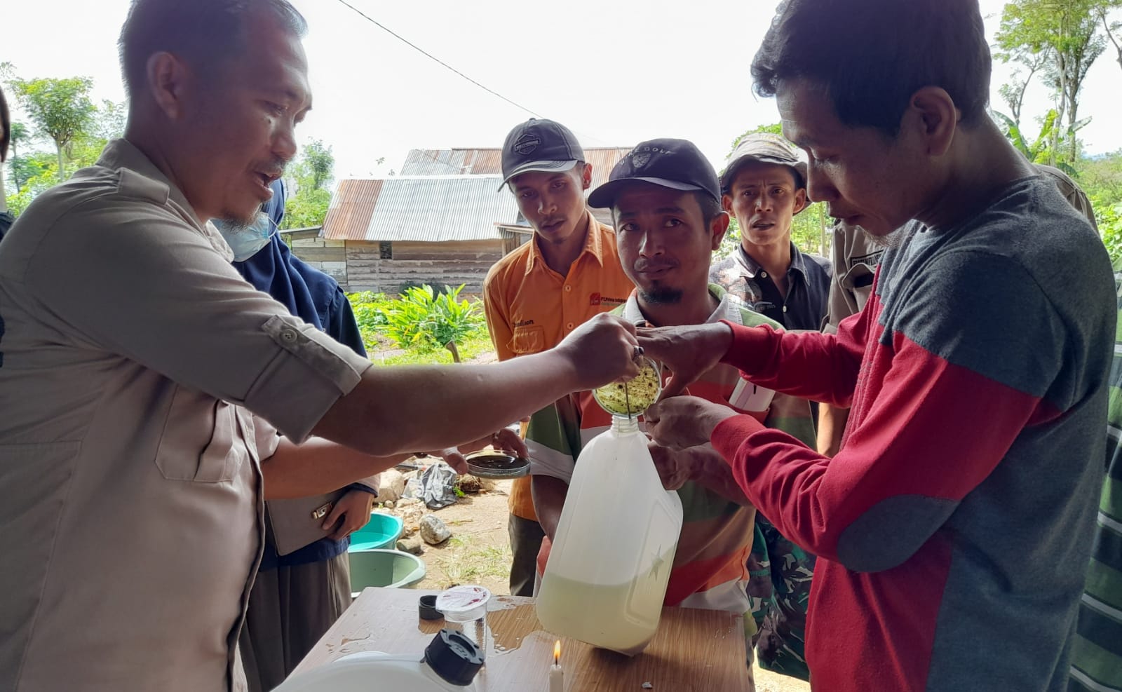 Kebun Organik Tingkatkan Kualitas Kopi