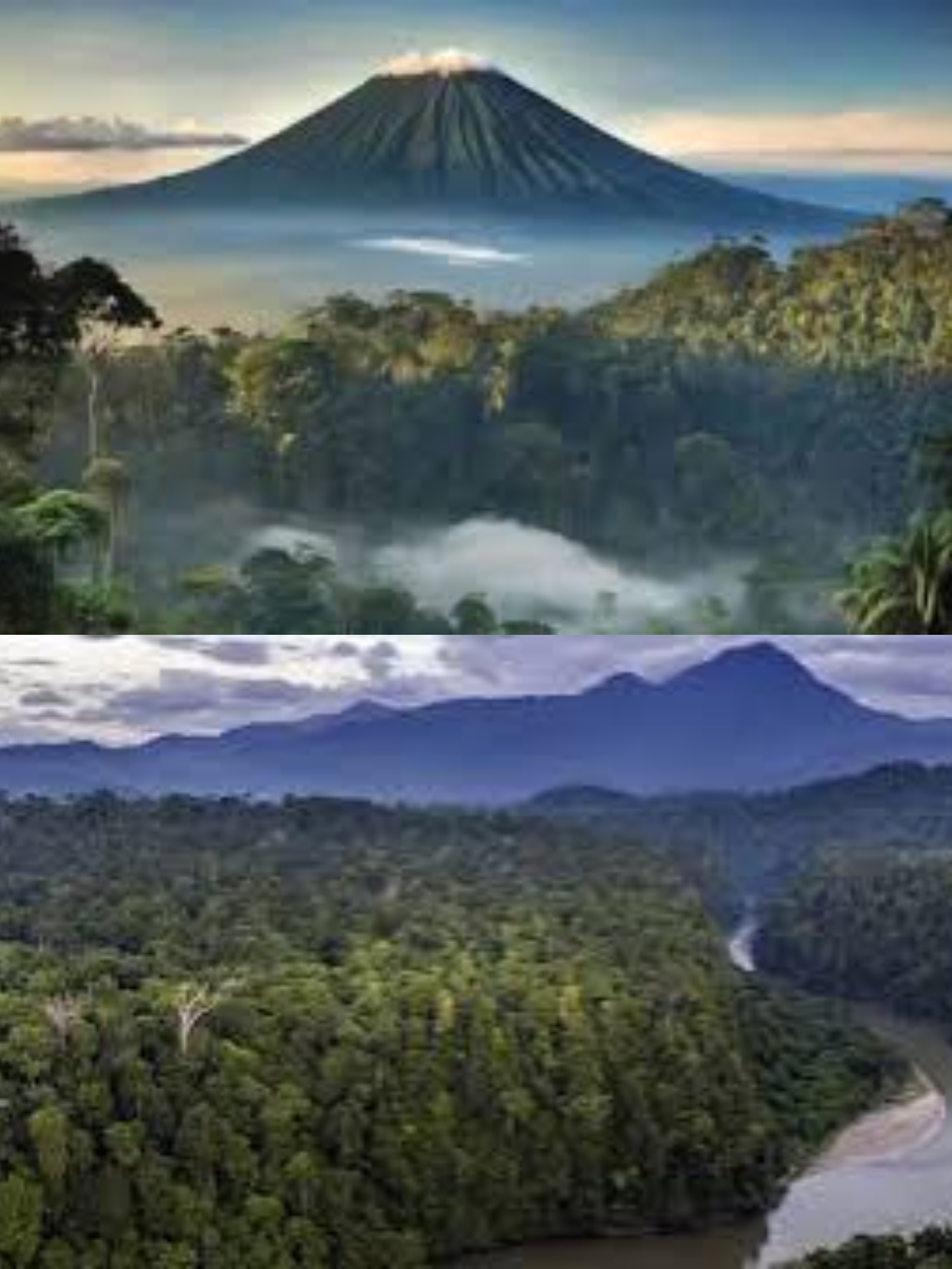 Menemukan Keistimewaan dan Rahasia Gunung Leuser dalam Perjalanan Eksplorasi yang Menakjubkan