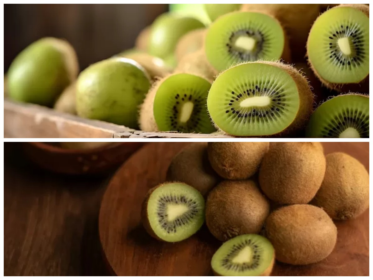 Dapatkan Imunitas yang Kuat: 5 Khasiat Buah Kiwi Berbasis Vitamin C