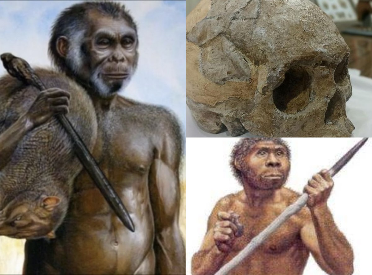 Menyikapi Kisah Homo Sapiens Wajakensis: Warisan Purba Nusantara yang Mendunia!