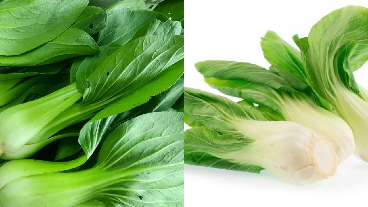 Kaya Vitamin dan Mineral, Inilah Manfaat Pakcoy untuk Kesehatan!