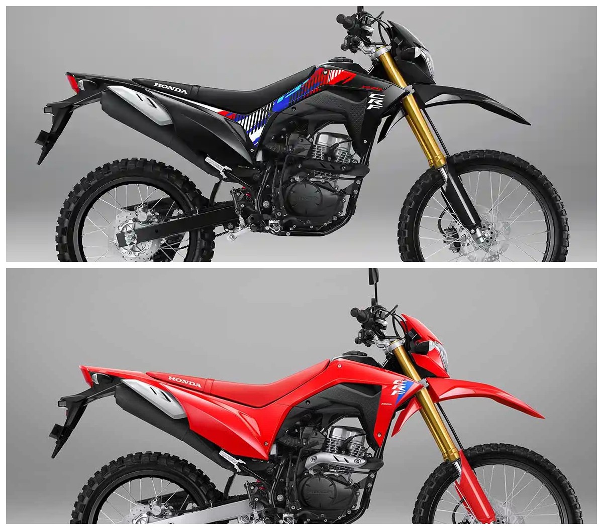 Honda CRF Versi Facelift Muncul Diam-Diam, Fitur Barunya Jadi Sorotan!