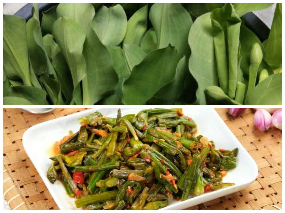 Jarang Diketahui! Ini Deretan Manfaat Sayur Genjer yang Baik untuk Kesehatan Tubuh