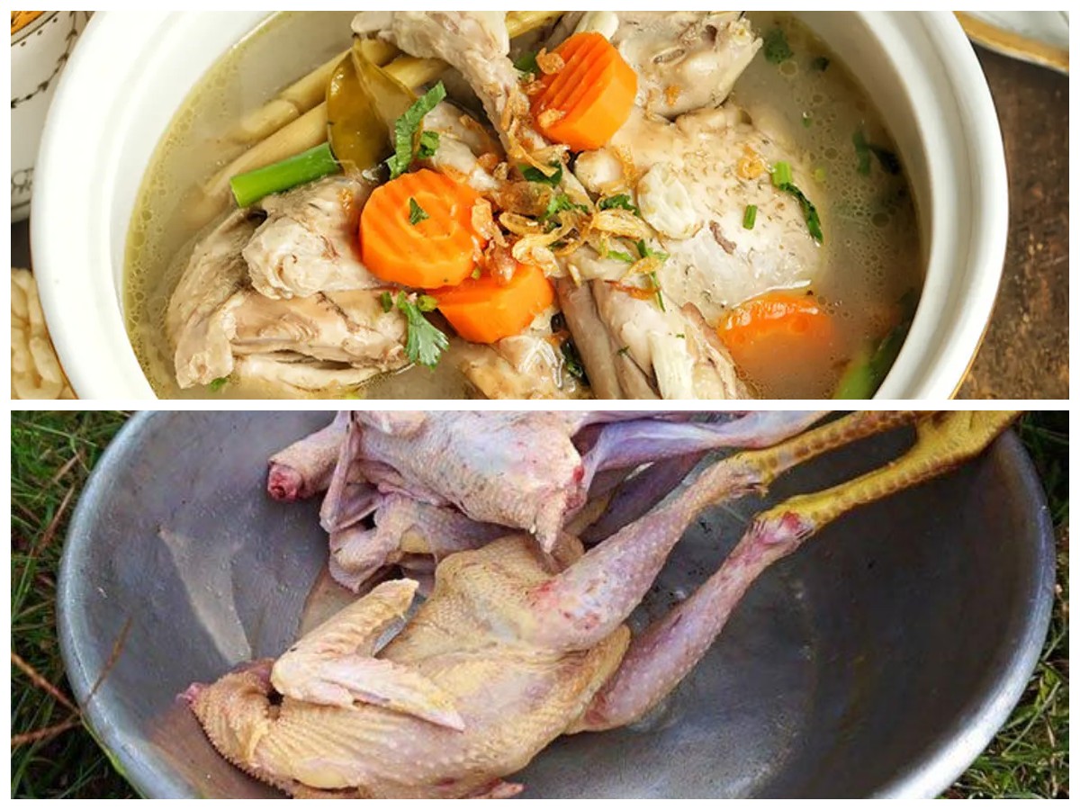 Tak Perlu Takut Alot, Ini Tips Masak Daging Ayam Kampung Agar Empuk