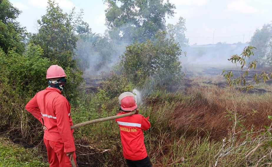 Sumsel Wasapada Karhutla, Terekam 169 Hotspot Sepanjang Juni