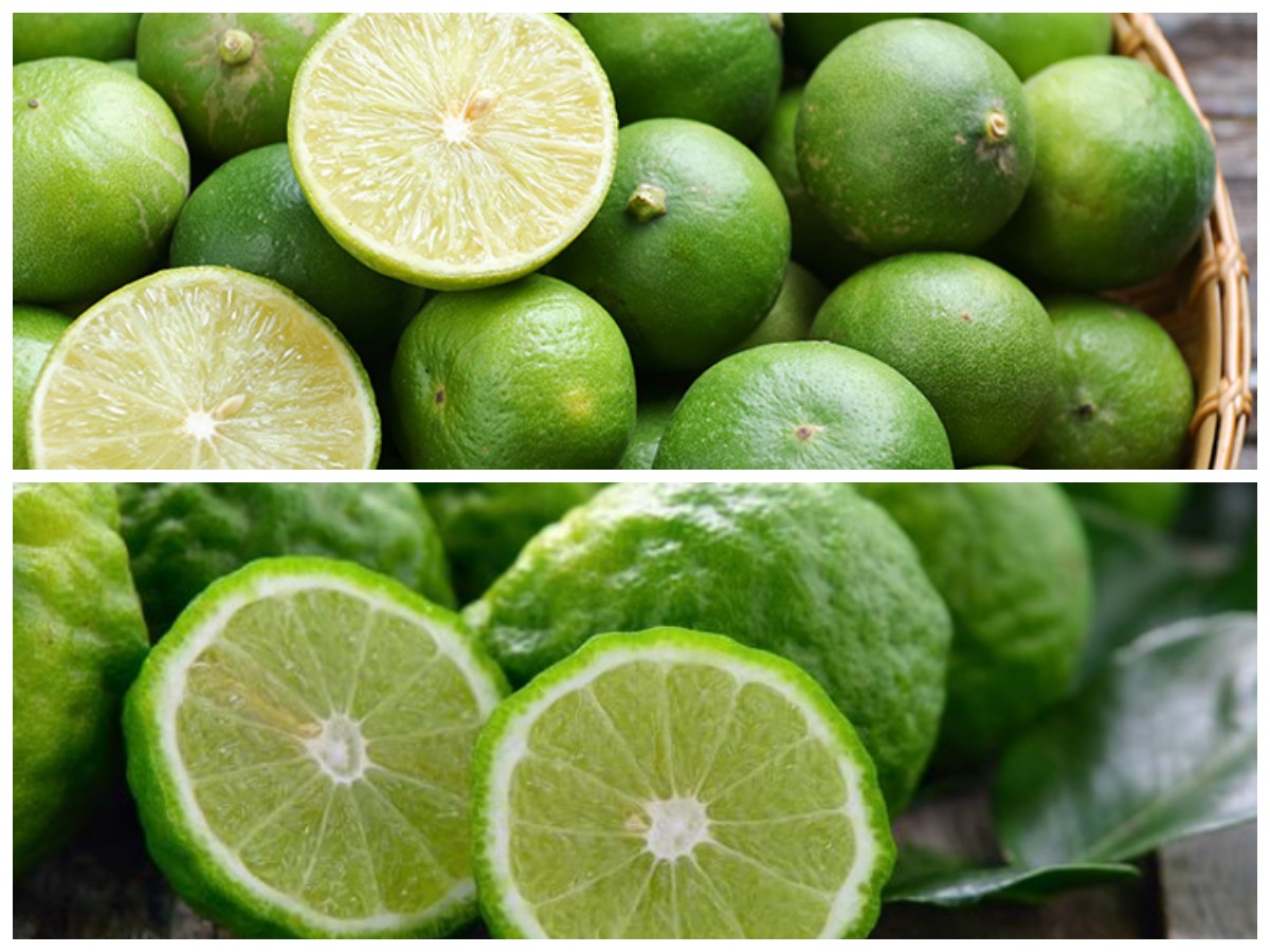 Jeruk Limau dan Segudang Manfaatnya: 8 Khasiat Penting untuk Kesehatan Tubuh