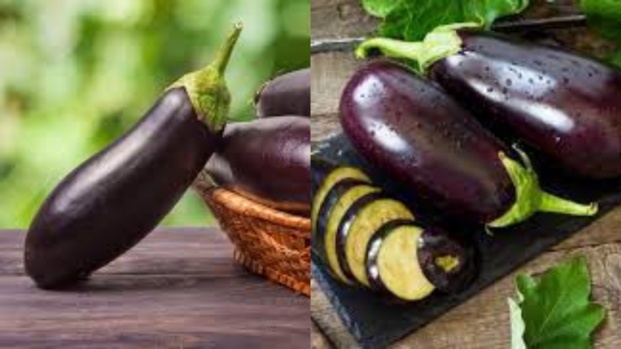 Simak! Inilah Manfaat Terong Bagi Kesehatan Yang Jarang Diketahui