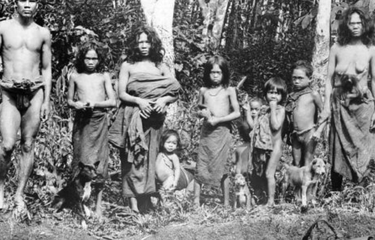 Inilah 4 Suku Asli Jambi! Benarkah Ada yang Berasal dari Sriwijaya dan Minangkabau?