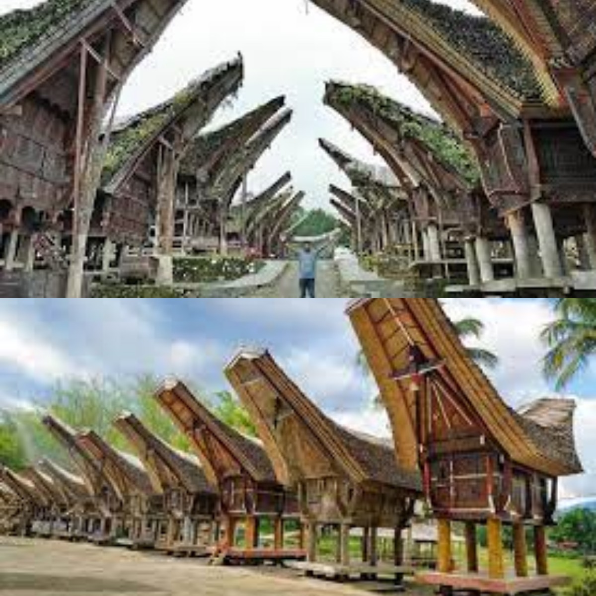 Mengulik Sejarah Kebudayaan, Fakta Menarik Hingga Wisata yang Ada di Tana Toraja 