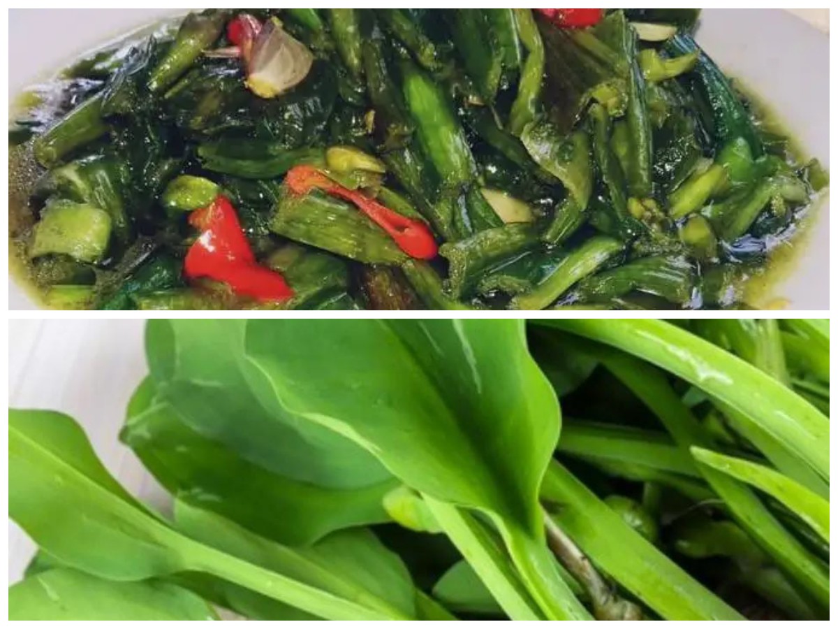 Genjer: Sayuran Tradisional dengan 8 Manfaat Kesehatan yang Mengejutkan!