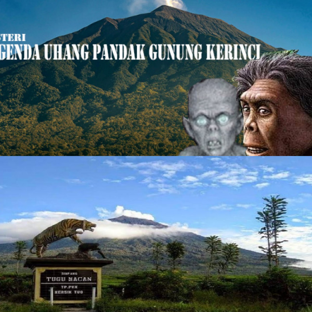 Siapa Sebenarnya Uhang Padak di Gunung Kerinci? Ini Jawabannya!