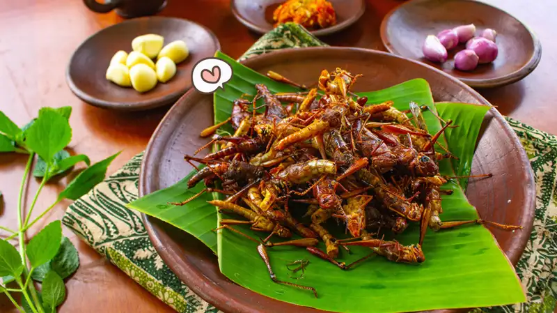 Belalang Goreng, Protein Tinggi yang Bikin Sehat! Mau Coba?