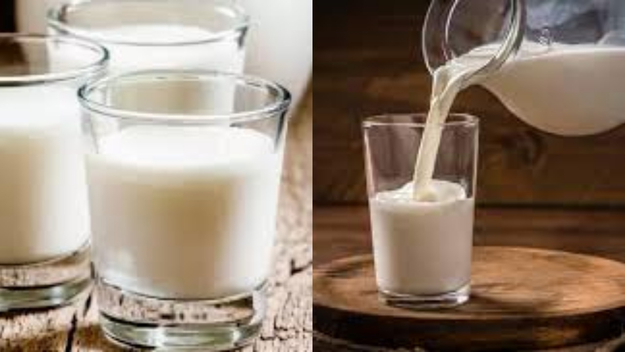 Pernahkah Kamu Mencicipi Susu Unta? Yuk Ketahui Ternyata Ini Manfaatnya Untuk Kesehatan