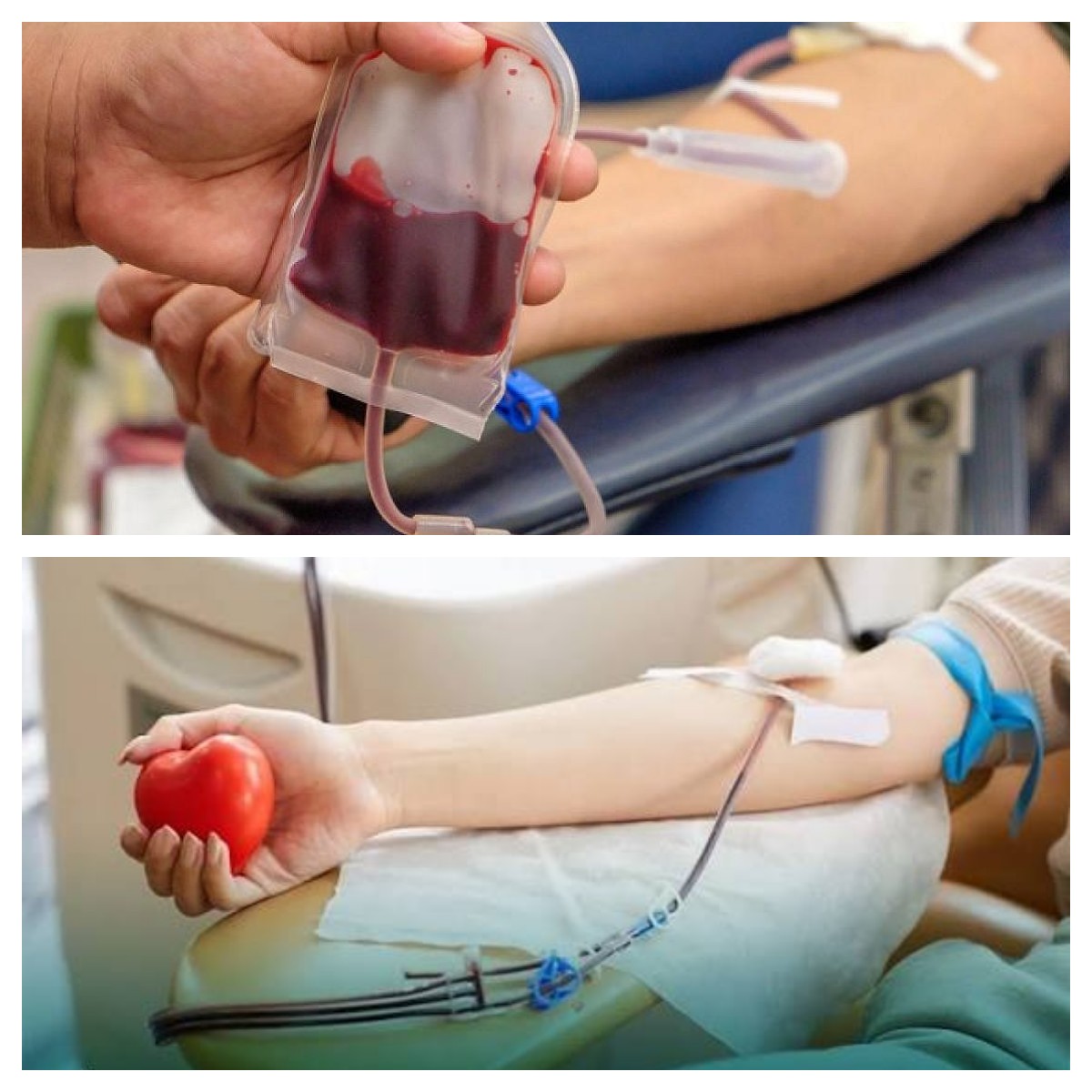 7 Alasan Donor Darah Bermanfaat bagi Kesehatan Tubuh