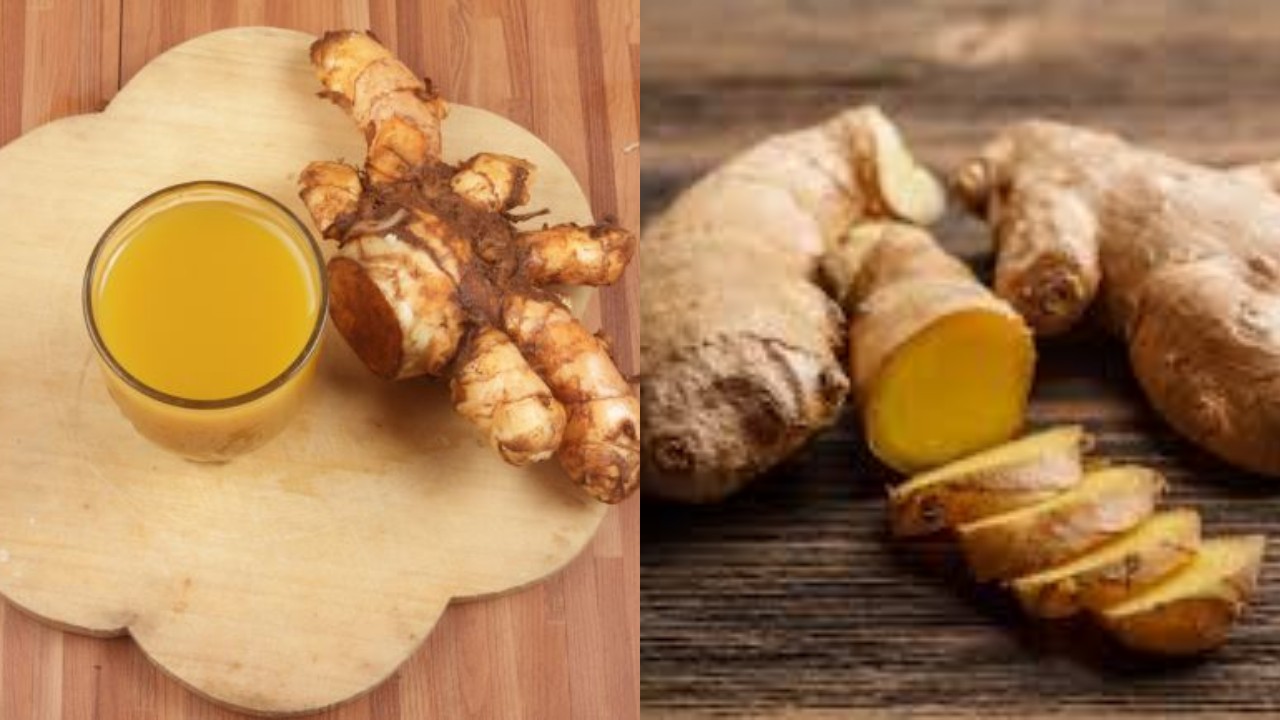 Inilah Manfaat Dari Temulawak untuk Atasi Penyakit Lambung!