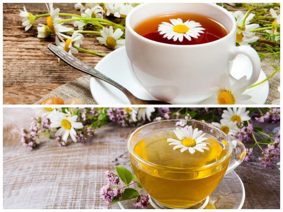 Rahasia Teh Chamomile untuk Penderita Asam Lambung: Minuman Herbal yang Menenangkan dan Menyehatkan!