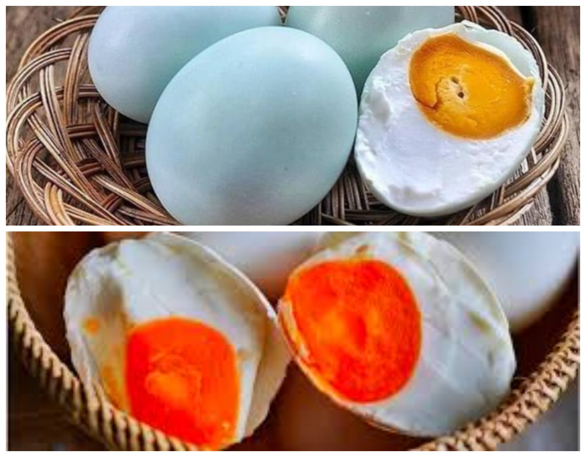 Rahasia Telur Bebek: 5 Manfaat Luar Biasa untuk Kesehatan, Termasuk Penangkal Anemia!