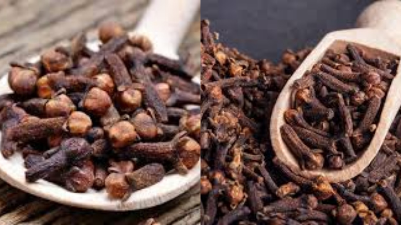 Yuk Kenali 8 Manfaat Cengkih untuk Kesehatan Tubuh Yang Harus Kalian Tahu!