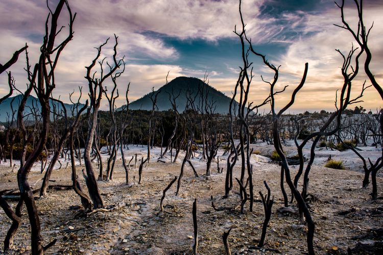 Bikin Merinding Banget! Ini Dia 4 Misteri Menakutkan Gunung Papandayan