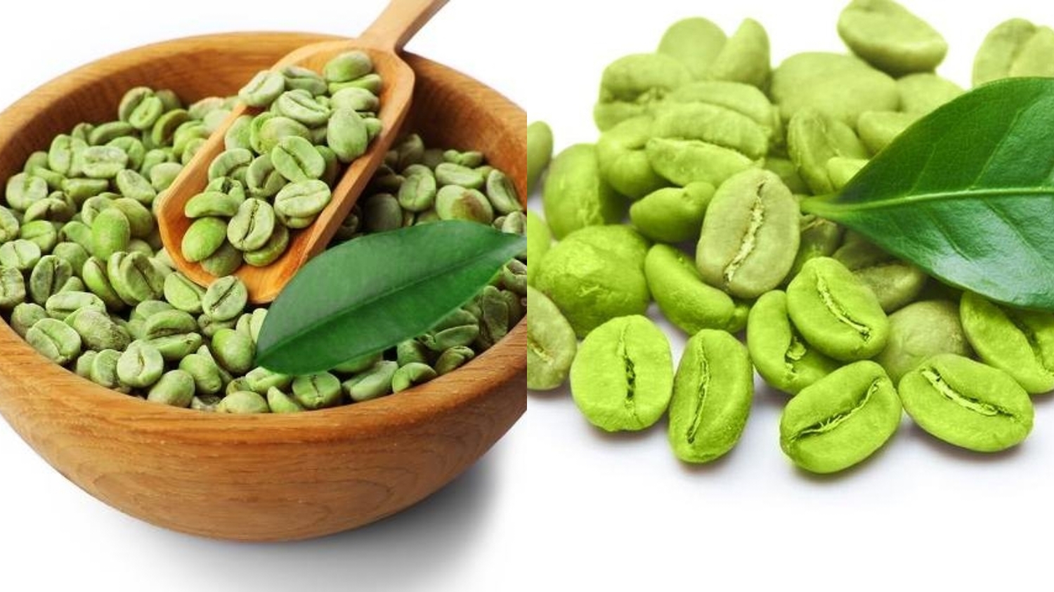 Kamu Harus Tahu Teryata Ini Guys Manfaat Green Coffee Untuk Kesehatan Dan Diet Yang Luar Biasa! 