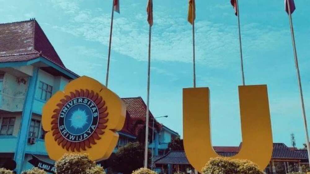 Universitas Sriwijaya Siap Mandiri, Ingin Mencari Uang Sendiri, Tidak Tergantung pada Uang Kuliah Mahasiswa
